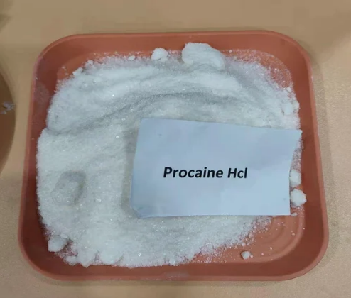 Procain Chemical Raw Powder