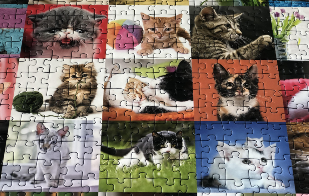 99 Cats Jigsaw Puzzle 1500 pieces
